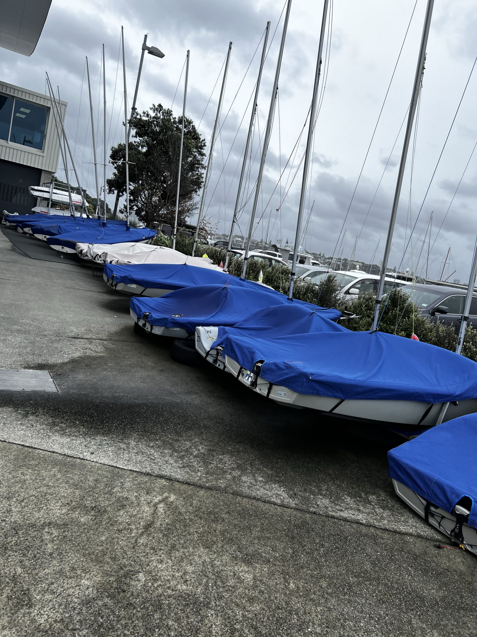 Sailing Camp in Auckland